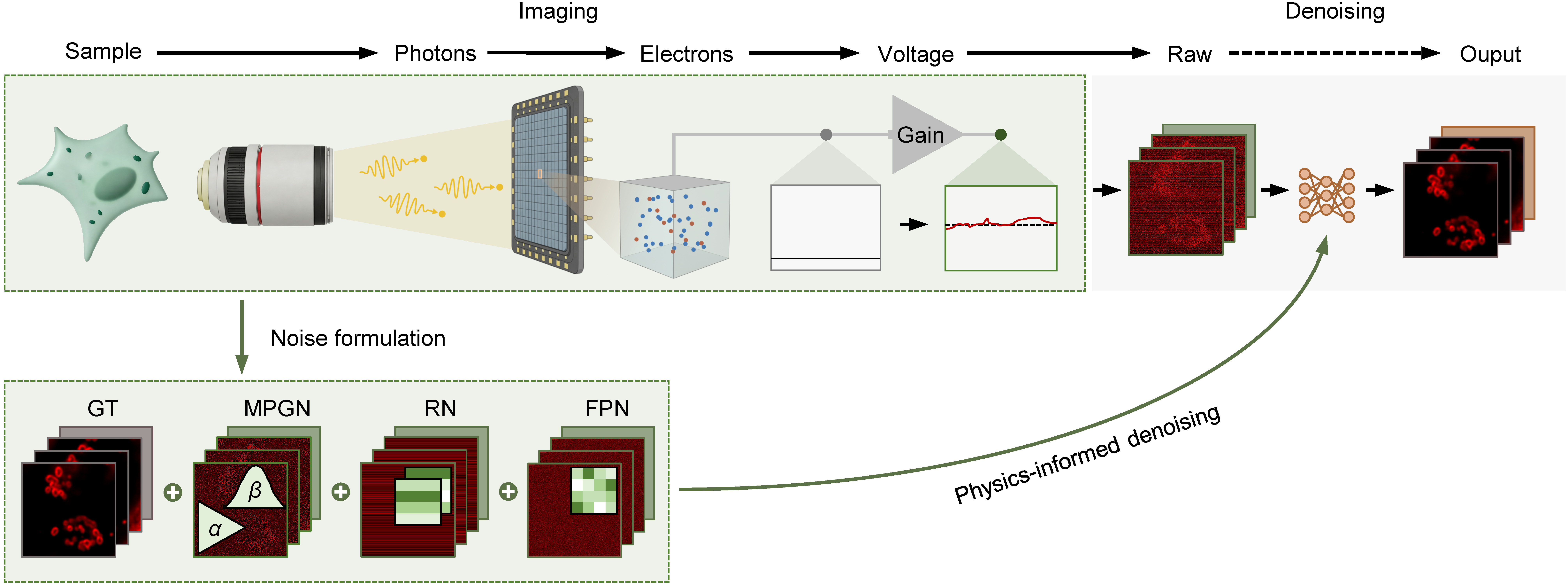 Physical imaging process and heterogeneous noise components in fluorescence microscopy