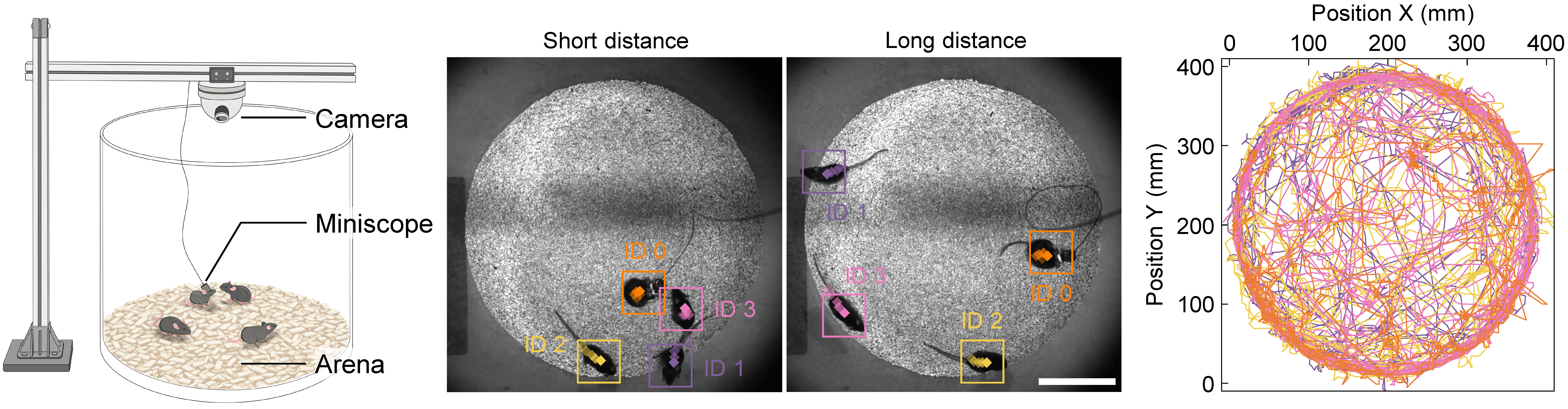 Neuroethological recording platform with miniaturized microscopy and animal tracking