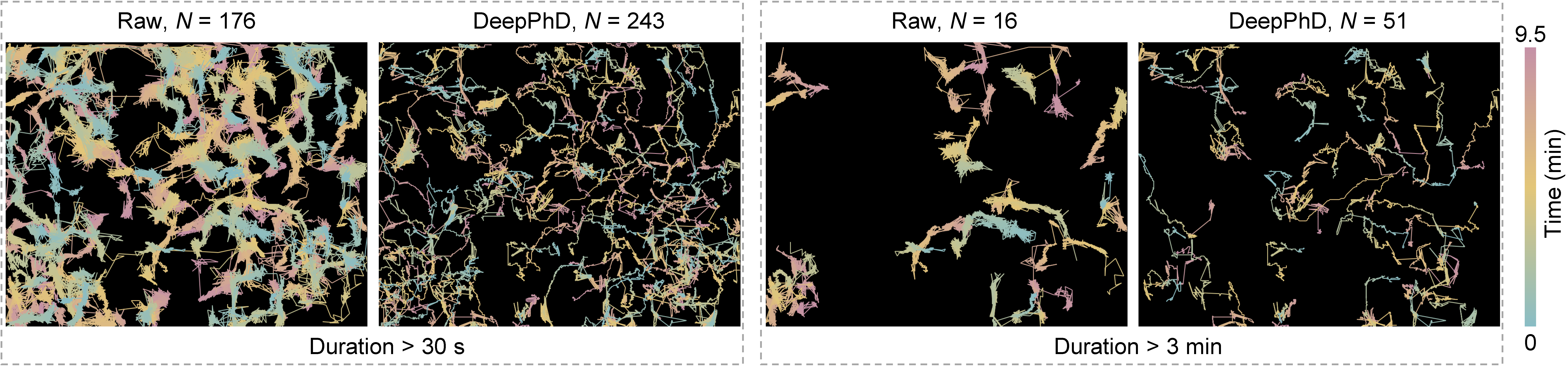 Neutrophil migration trajectories before and after DeepPhD