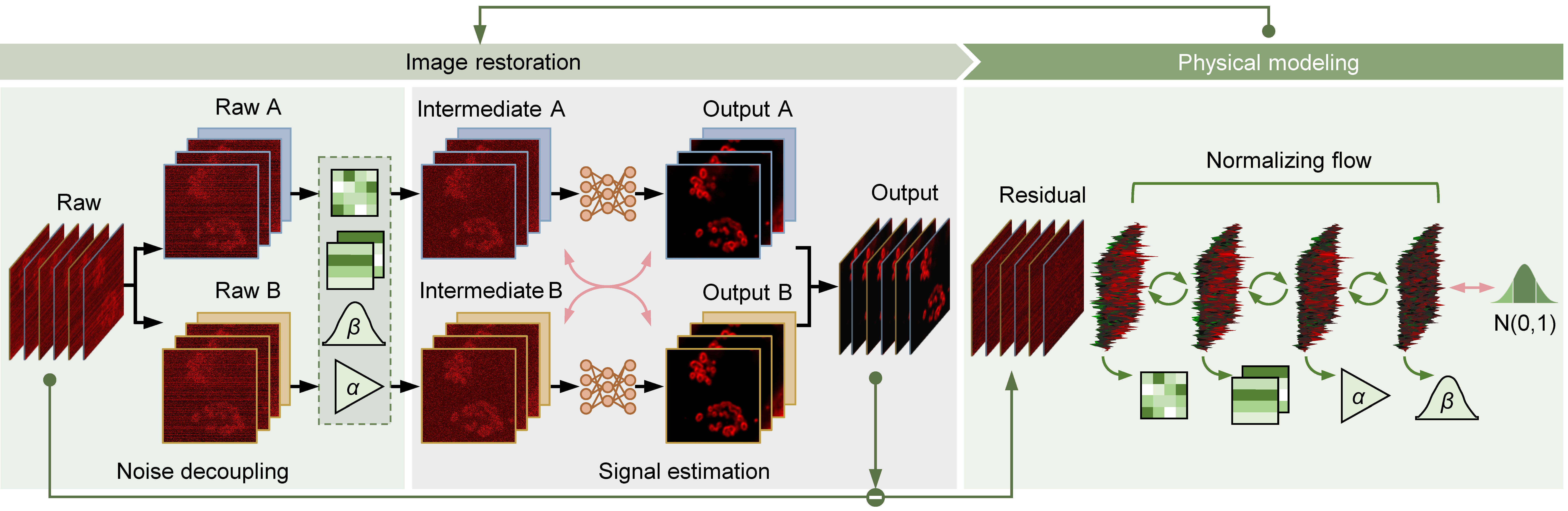 DeepPhD framework: image restoration and physical modeling