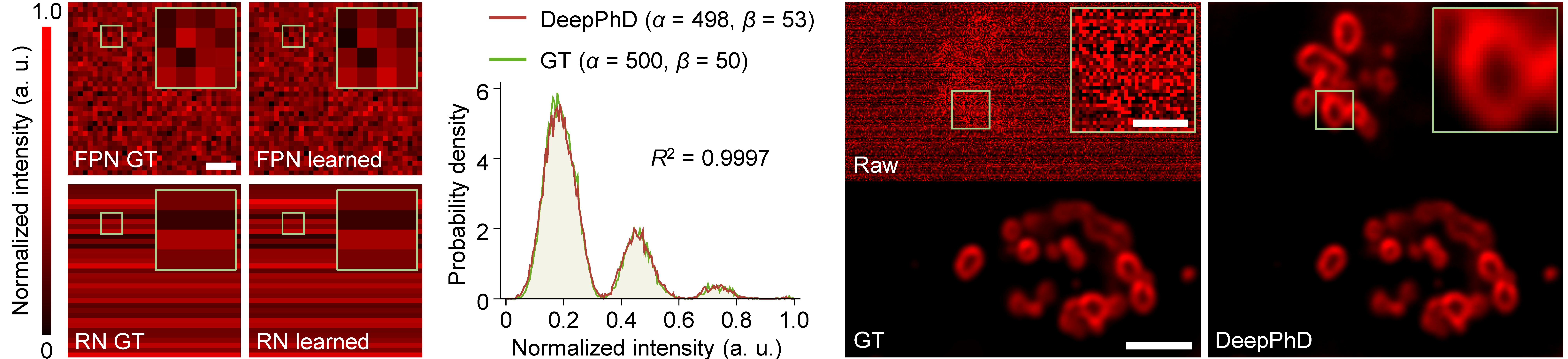 Physical consistency of DeepPhD: learned FPN, RN, MPGN statistics, and lysosome restoration
